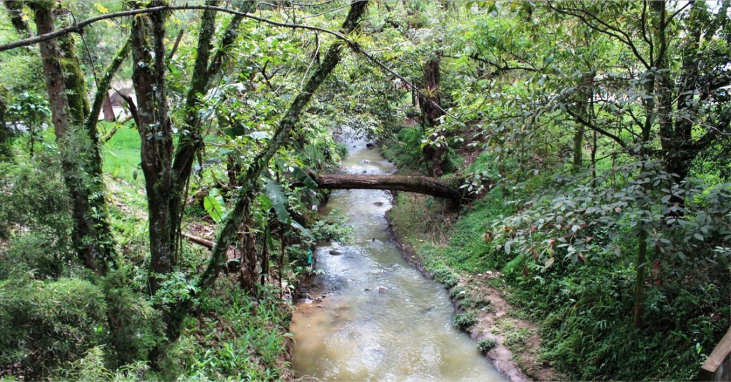 Popayán no trata las aguas residuales, los vertimientos se hacen directamente al río Cauca y a sus afluentes.