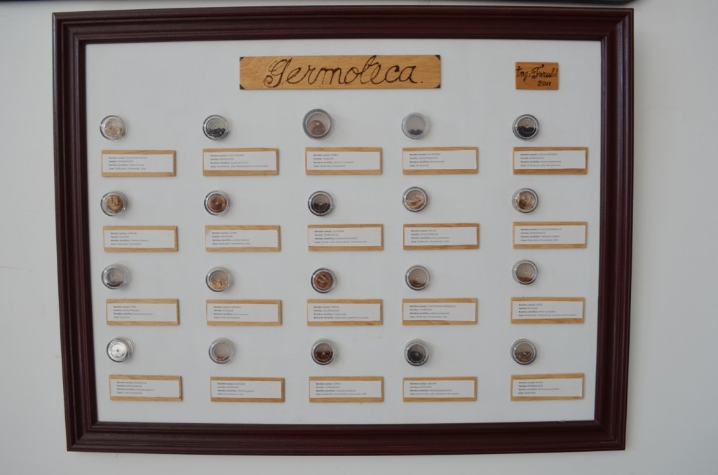 Germoteca, programa de Ingeniería Forestal, de la facultad de Ciencias Agrarias de la Universidad del Cauca.