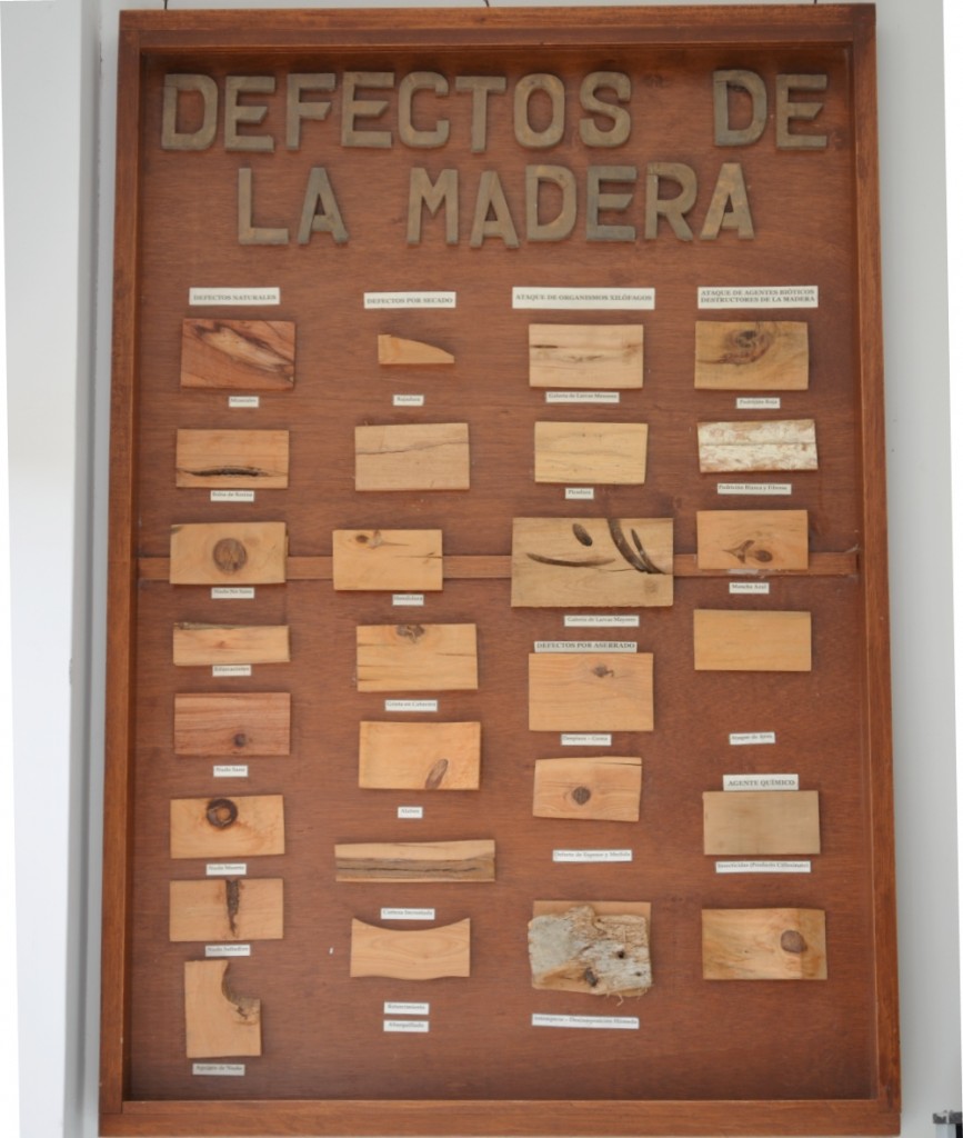 Defectos de la madera, programa de Ingeniería Forestal, de la facultad de Ciencias Agrarias de la Universidad del Cauca.
