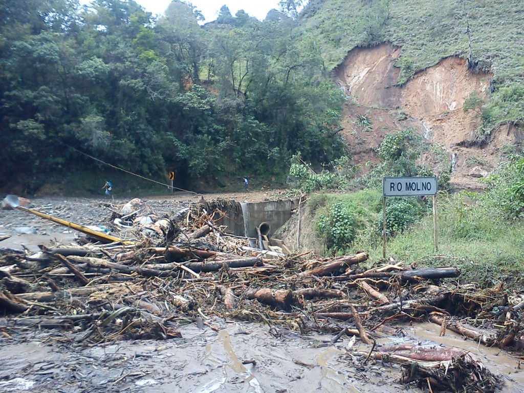 La inundación del 24 de diciembre del 2013 arrastró zonas de bosque.