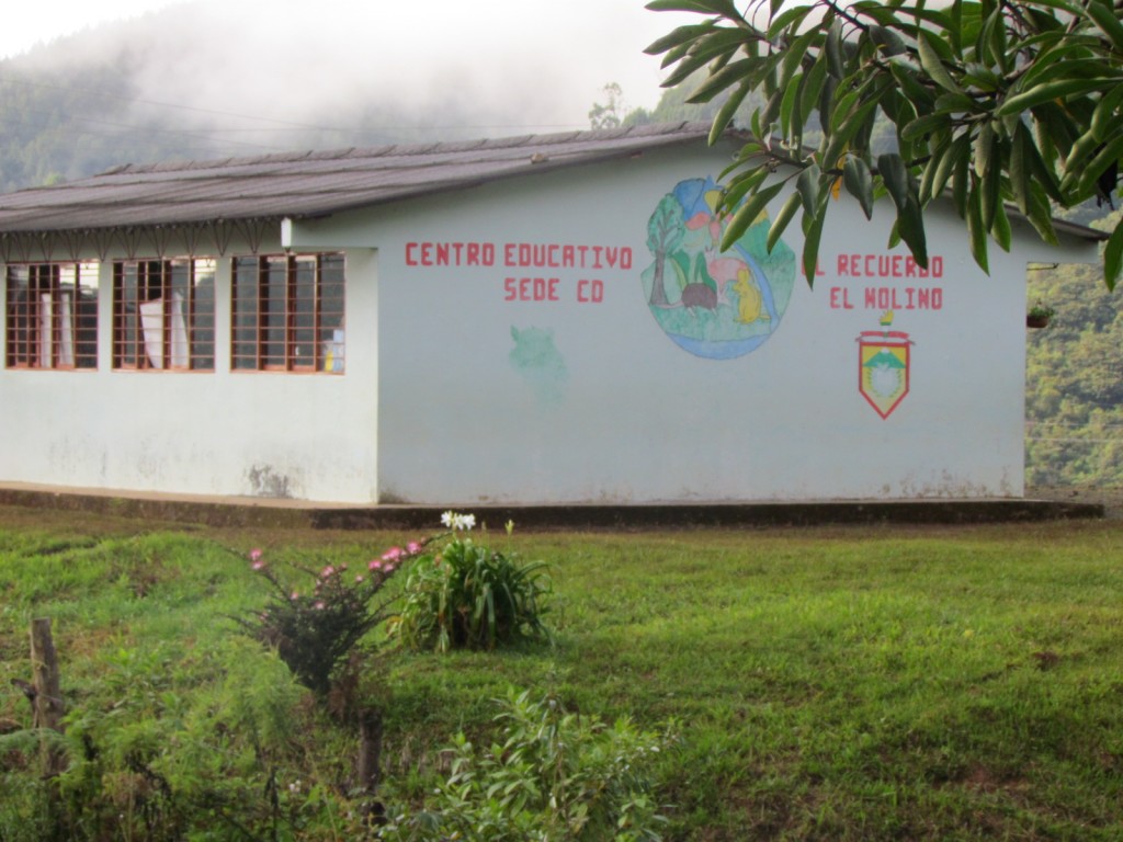 Por medio de labores de inteligencia unidades de la Fuerza de Tarea Apolo orgánica de la Tercera División del Ejército,  Fuerza Aérea y la Policía Nacional, fueron descubiertos en escuela rural de El Tambo, Cauca, 76 cilindros bomba de alto poder explosivo.