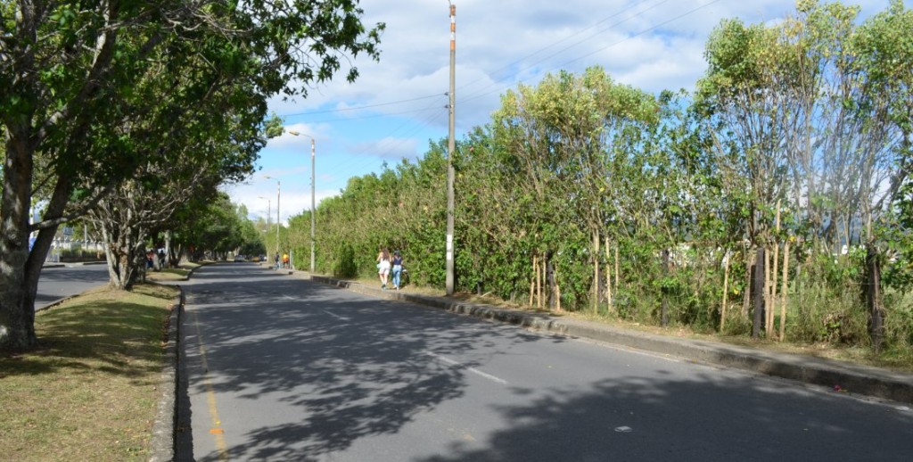 El aumento de tres a cinco veces más visitantes de los que concurren actualmente al centro comercial Campanario, harían imposible la movilidad en el norte de Popayán.