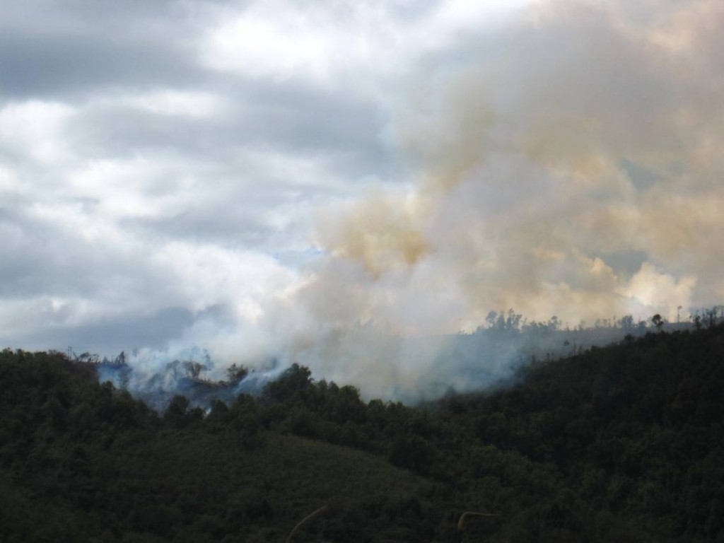 Popayán está en alerta roja por incendios forestales. Se está solicitando que las personas denuncien a quienes cometen este crimen en contra del medio ambiente y de la comunidad.