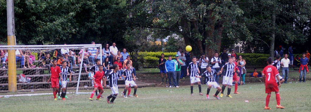 Festival Infantil de fútbol 2014