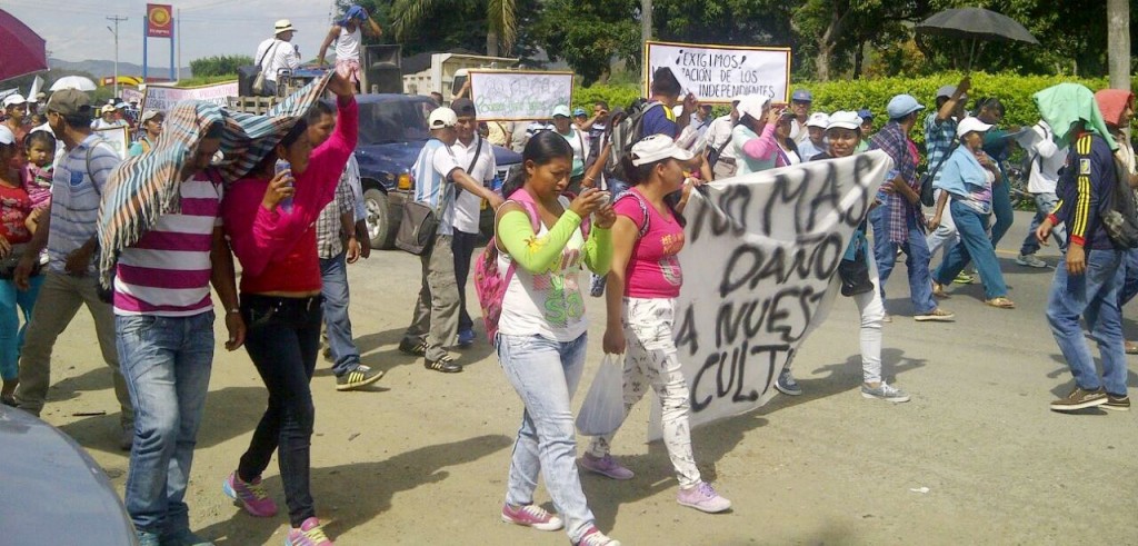 Cabildos indígenas independientes marcharon en contra de invasiones y tomas de la Panamericana 