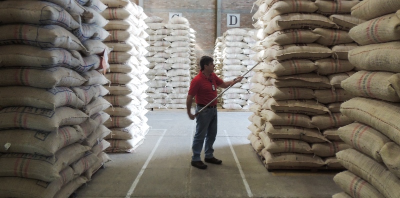 En el 2014 Caficauca comercializó 32 millones de kilos de café pergamino, cantidad superior en un 15.5% a las compras del 2013 y produjo 192.296 sacos de excelso de 70 kilos, con un incremento del 45.1%.