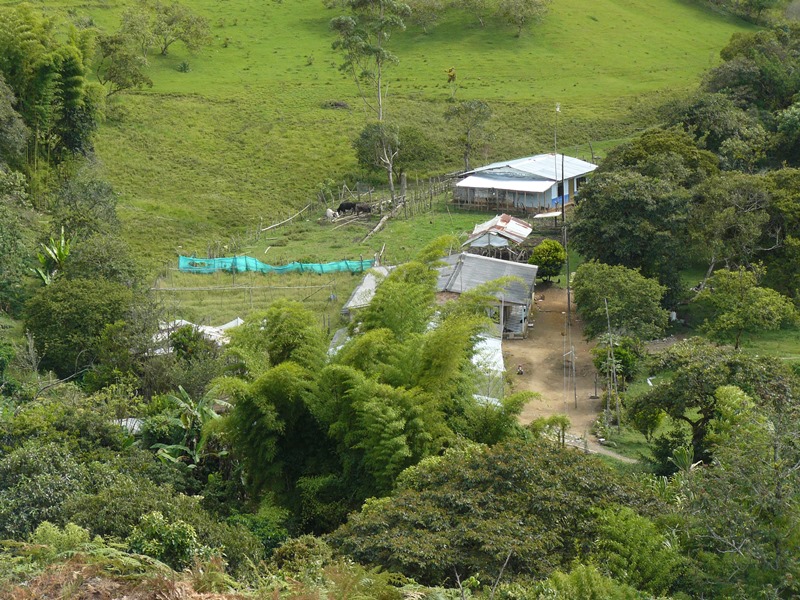 Este humedal ubicado en las faldas del cerro de Las Tres Cruces, en Pomona, de propiedad del Departamento del Cauca, se encuentra invadido desde hace varios años por una familia que ocupa aproximadamente cinco hectáreas.