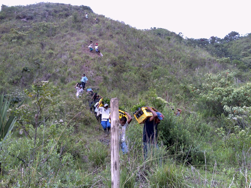 Barrero Gordillo gestionó proyectos agrícolas y emprendimientos por más de $ 5.600 millones para varios municipios del Cauca, mejorando la calidad de vida y los ingresos de muchas familias.