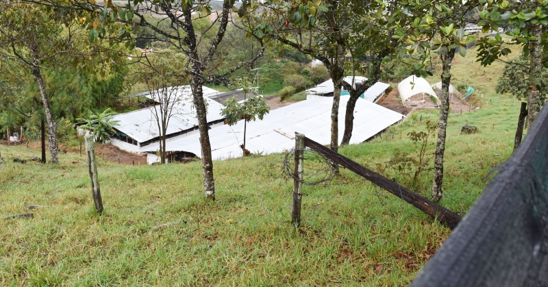 Galpón dedicado a la cría de gallinas ponedoras, que se construyó en medio de las casas de las parcelaciones Canta Claro y Altos de Canta Claro.