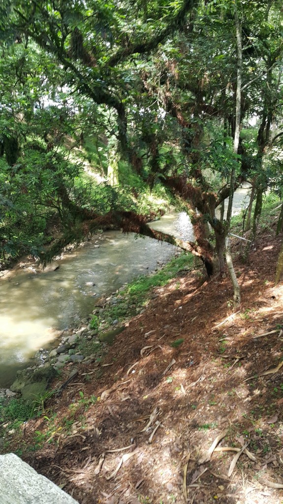 Río Molino, a su paso por el centro histórico de Popayán. 
