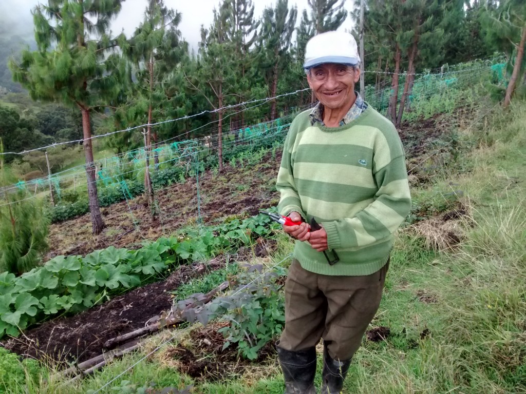 Caficultor del Cauca junio 23