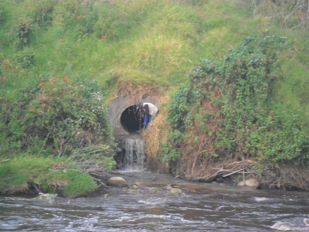 Vertimiento de aguas residuales o negras al río Cauca. 