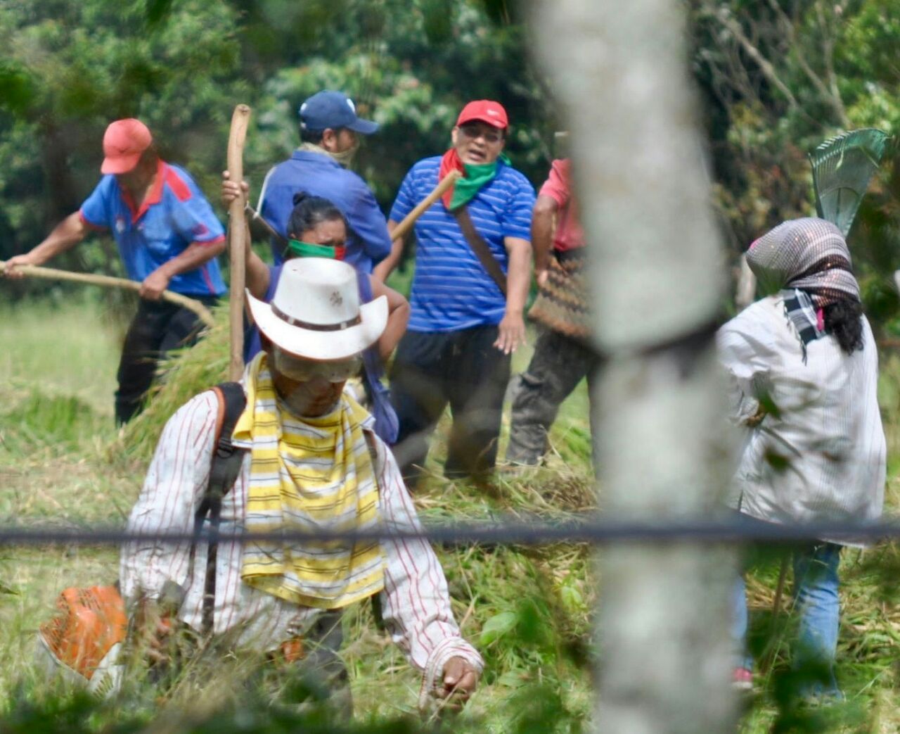 Grupo indígena que adelanta acciones de hecho en predios de la vereda El Cofre, a 12 kilómetros de Popayán.