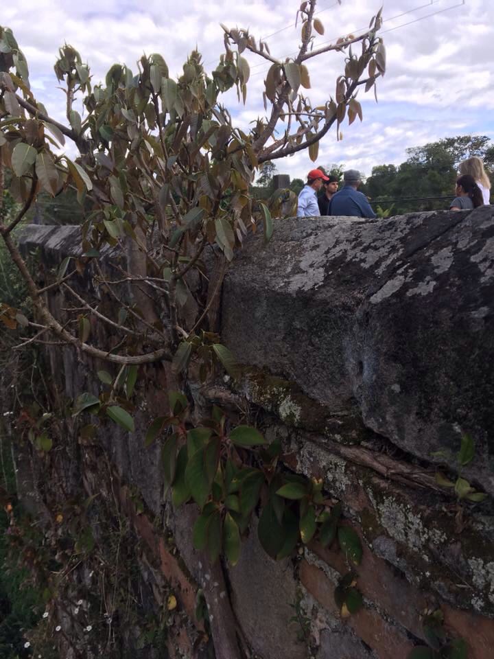 Las fotografías muestran el deplorable estado en que se encuentra este antiguo viaducto, declarado “Bien de Interés Cultural de la Nación.