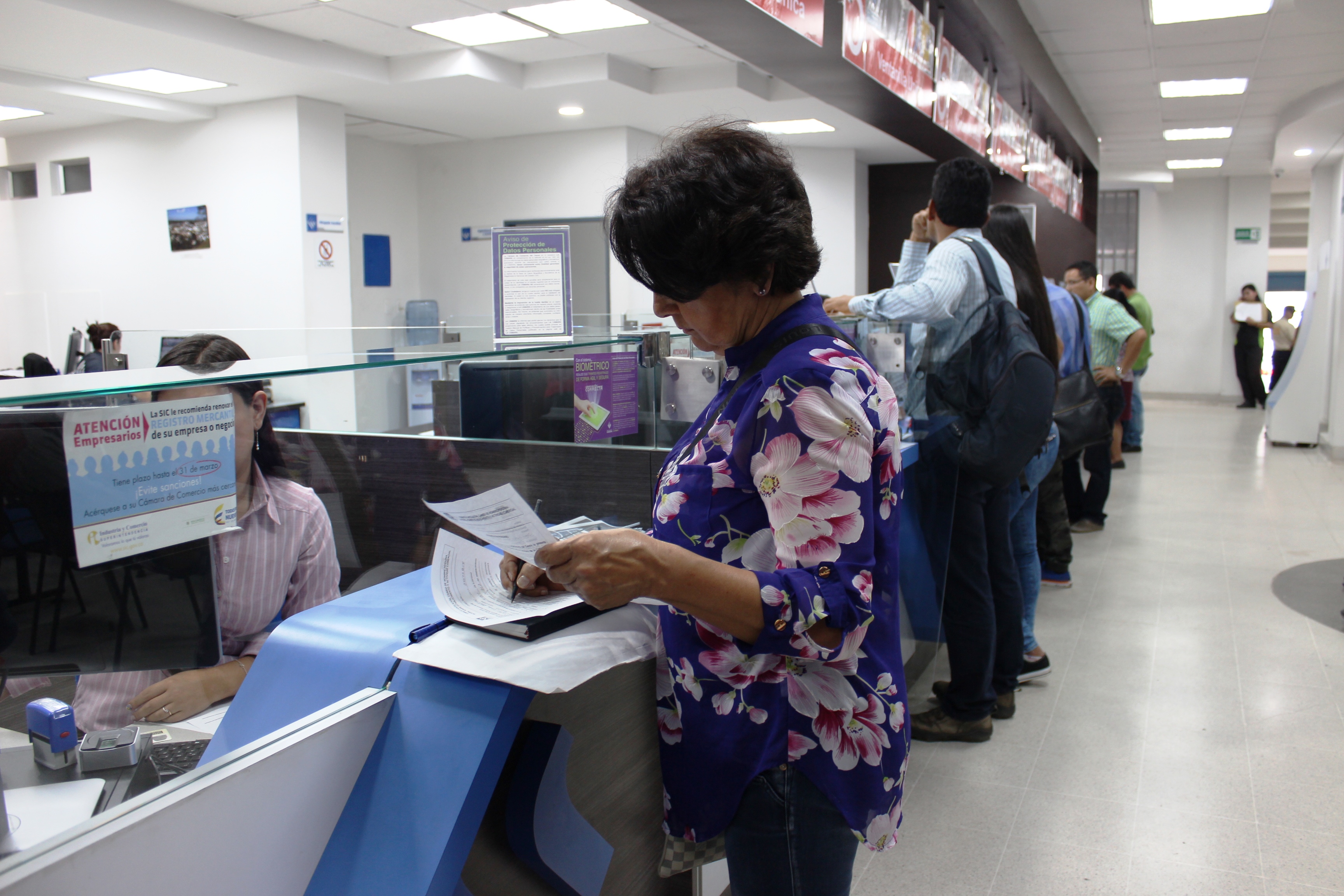 Cámara de Comercio del Cauca, pide a las autoridades garantizar el derecho a la propiedad privada y a la libre empresa.