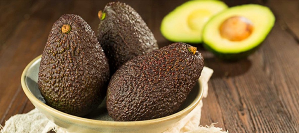 Se espera que durante el primer año Colombia inicie exportaciones por un volumen promedio a las 1.000 toneladas de aguacate Hass.