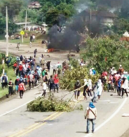 Muchos árboles han sido derribados con motosierras para atravesarlos en la Panamericana, que es una vía internacional.