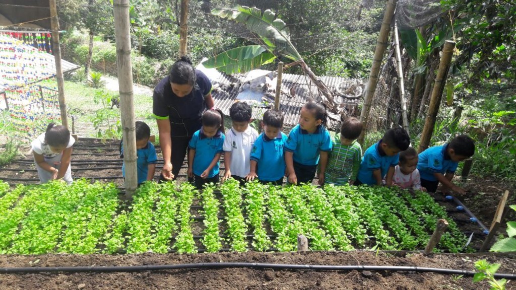 La lechuga creció más rápido con los cantos de los niños.