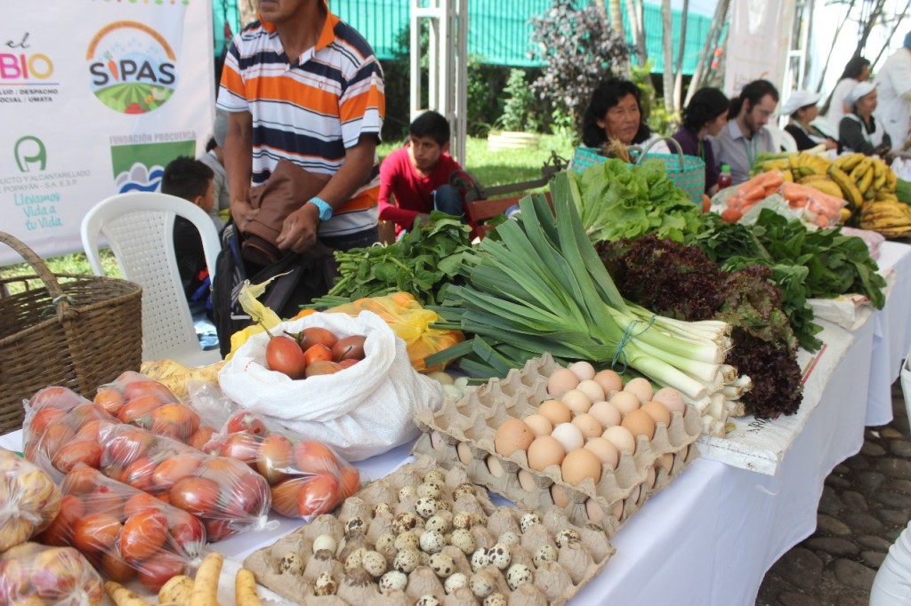 Familias de zonas rurales de Popayán, hacen parte del programa de Sistemas Integrados de Producción Agraria Sostenible ‘SIPAS’.