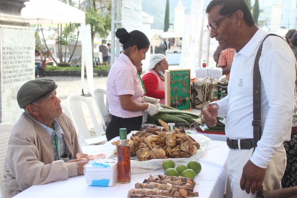 Frutas, verduras y legumbres, producidas de manera orgánica en zona rural de Popayán.