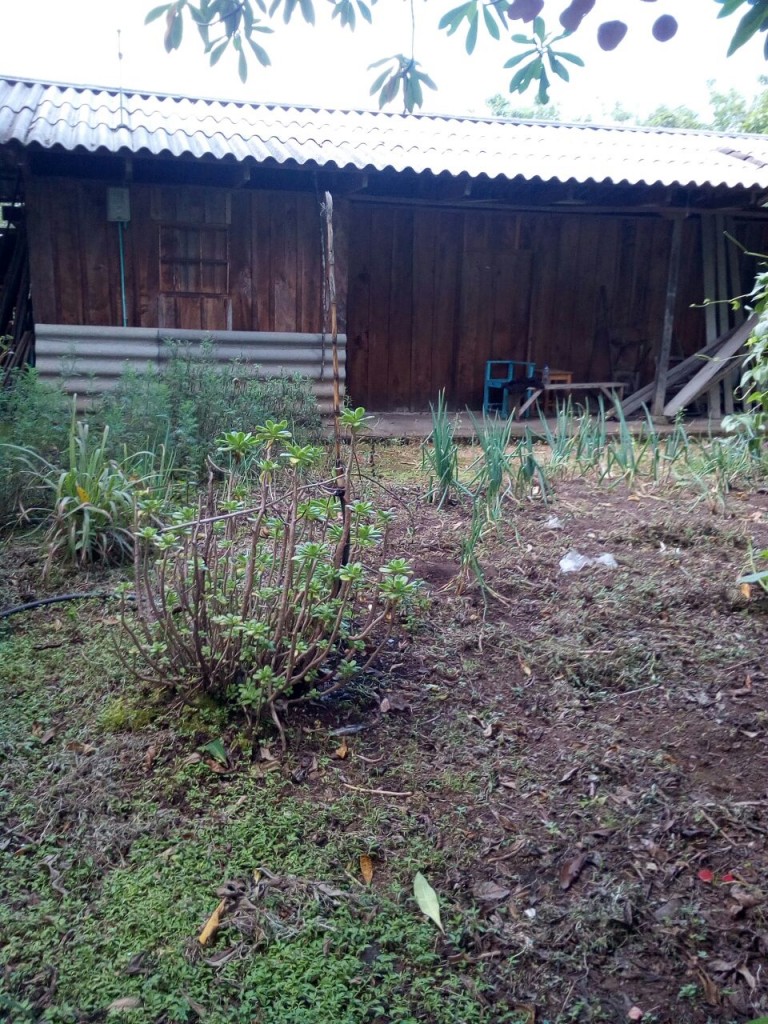 En esta casa campesina pernoctó el ciudadano colombo-ruso, debido a la lesión en la cadera. Desde ese sitio fue trasladado en helicóptero a Popayán.