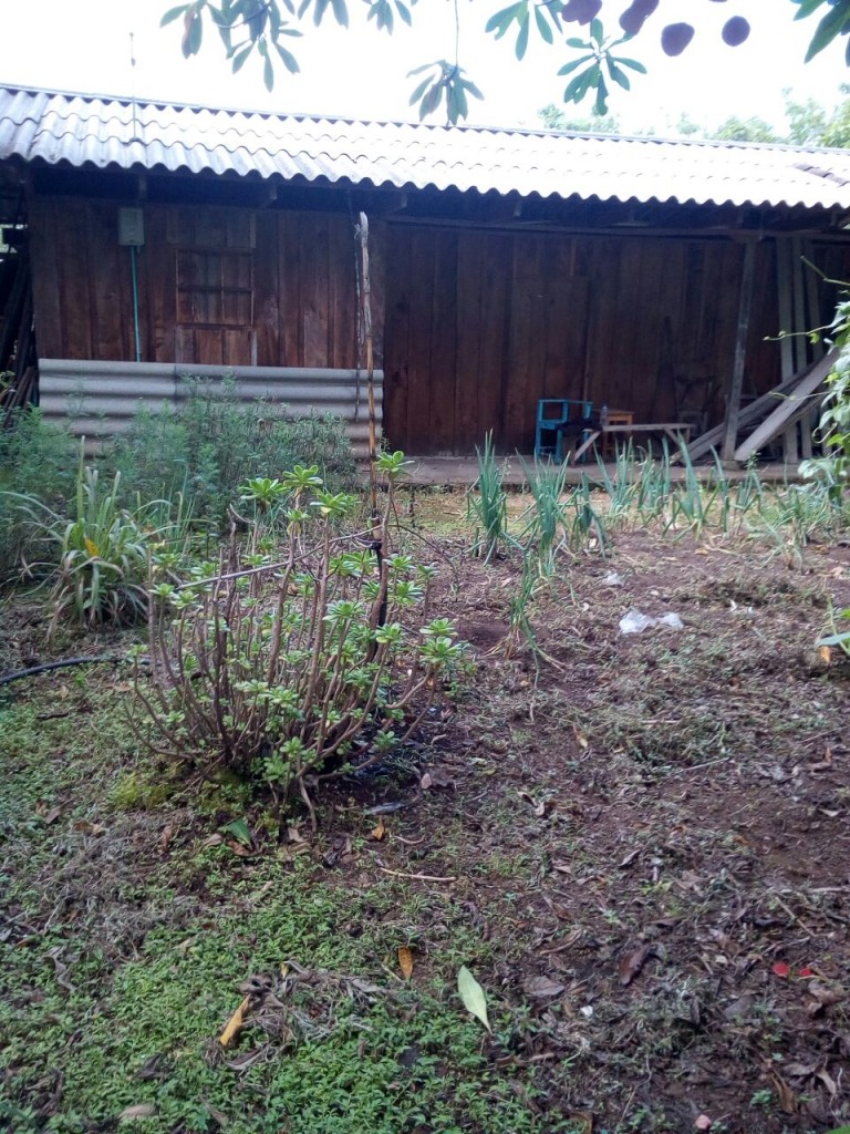 En esta casa campesina pernoctó el ciudadano colombo-ruso, debido a la lesión en la cadera.  Desde ese sitio fue trasladado en helicóptero a Popayán.