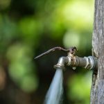 Protected right of inhabitants of Mercaderes to have water suitable for human consumption – news